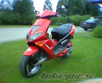 Photo 184205