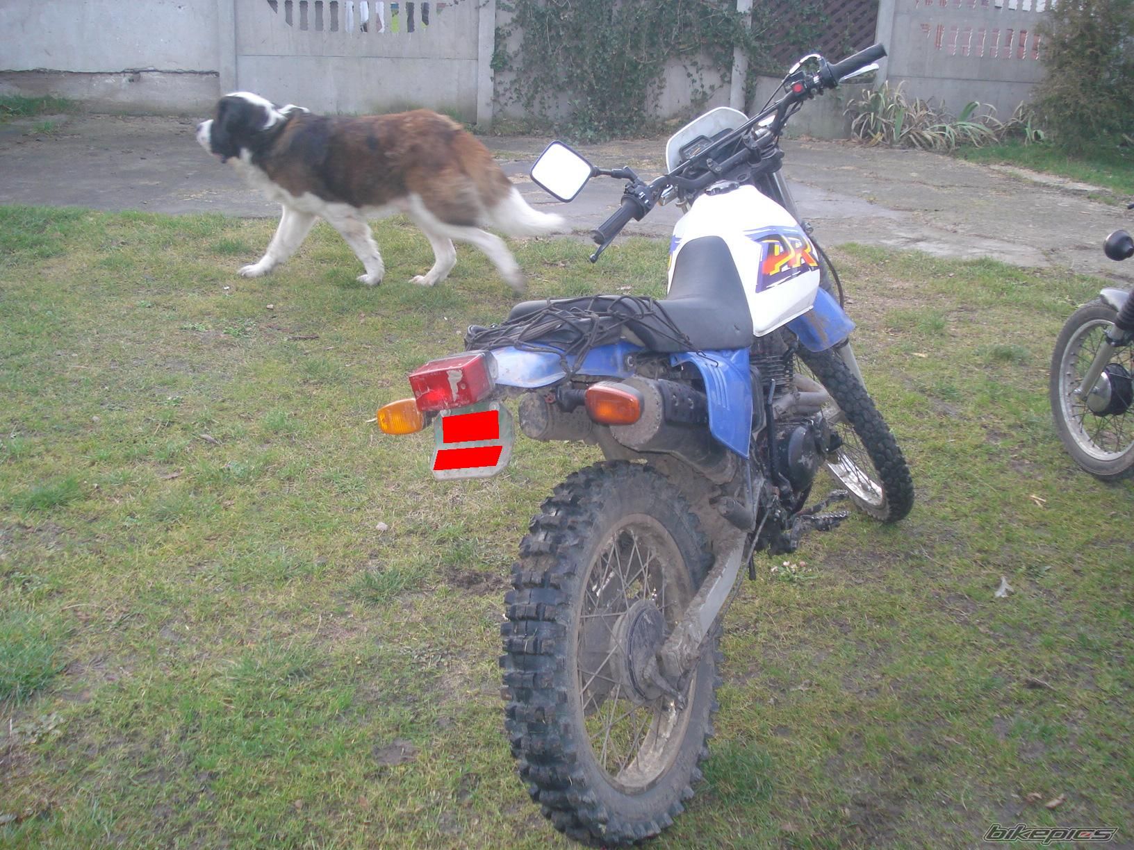 Photo 1842069