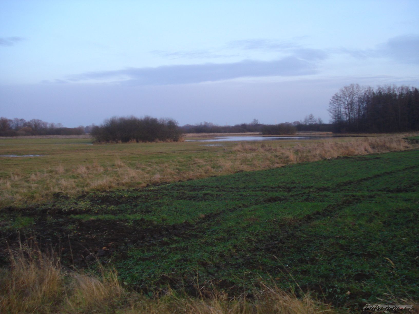 Photo 1842078