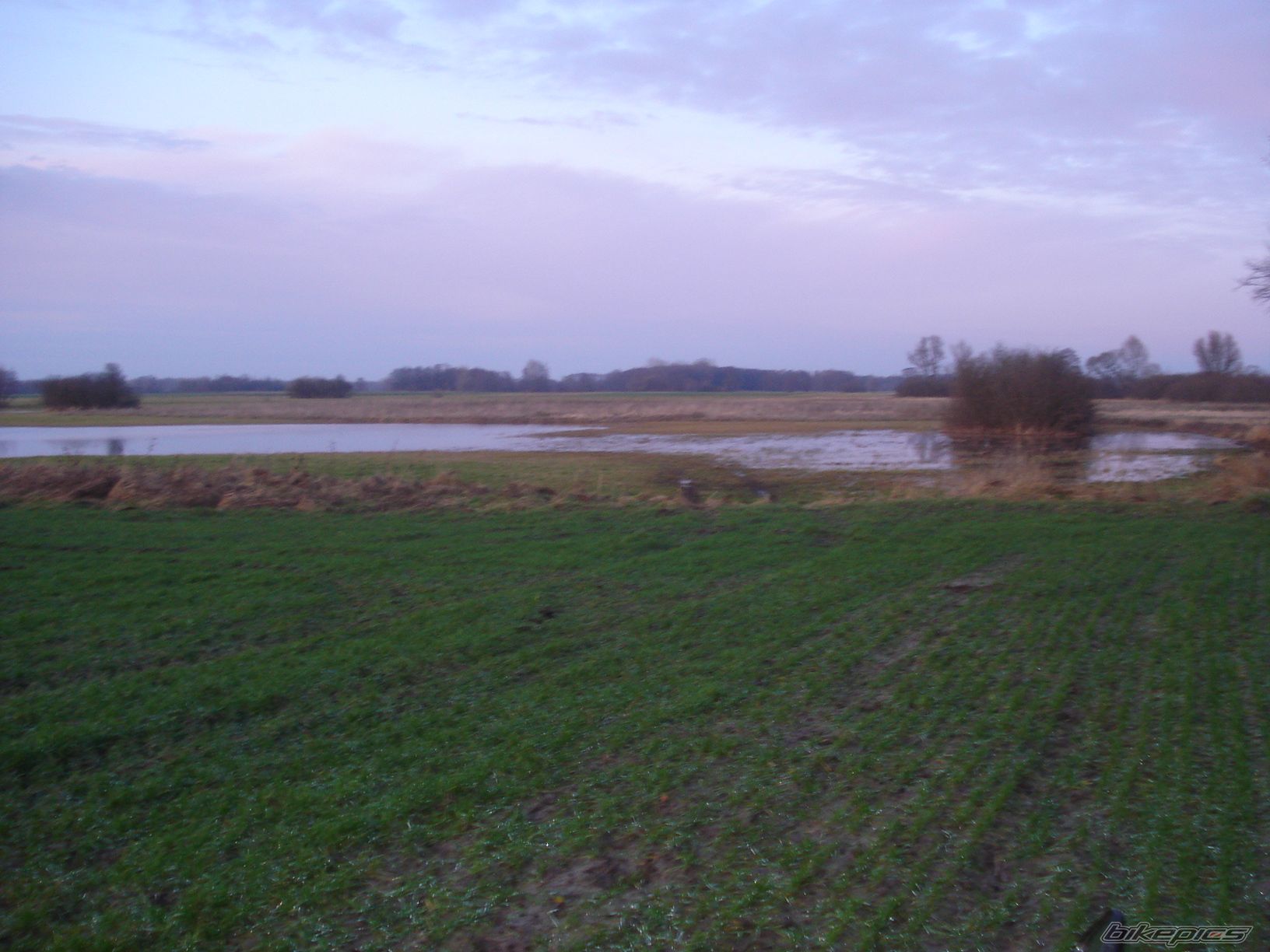 Photo 1842092