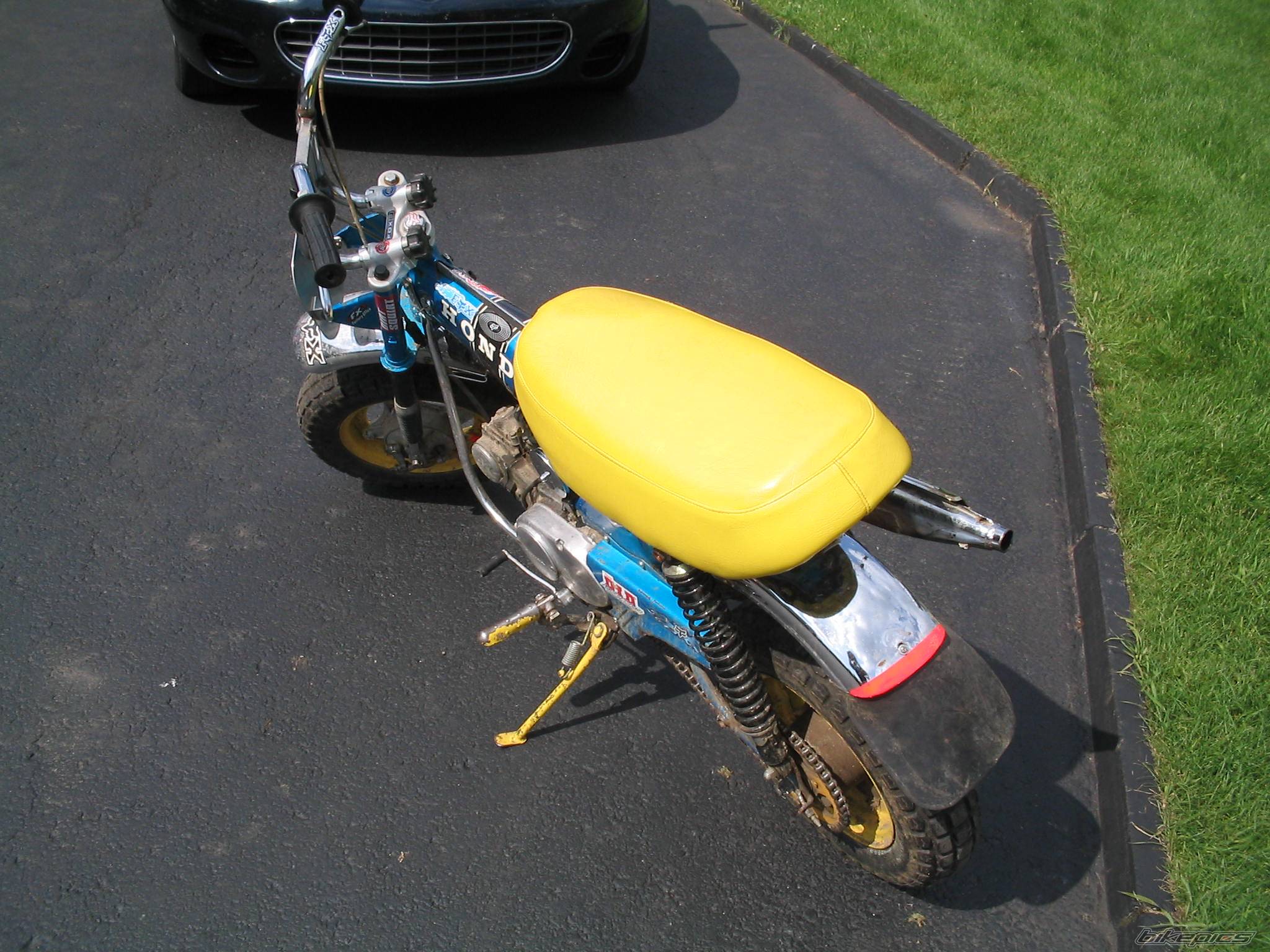 Photo 184243