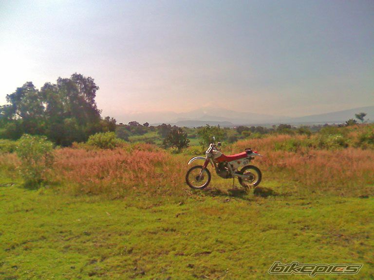 Bike Photo 1842439