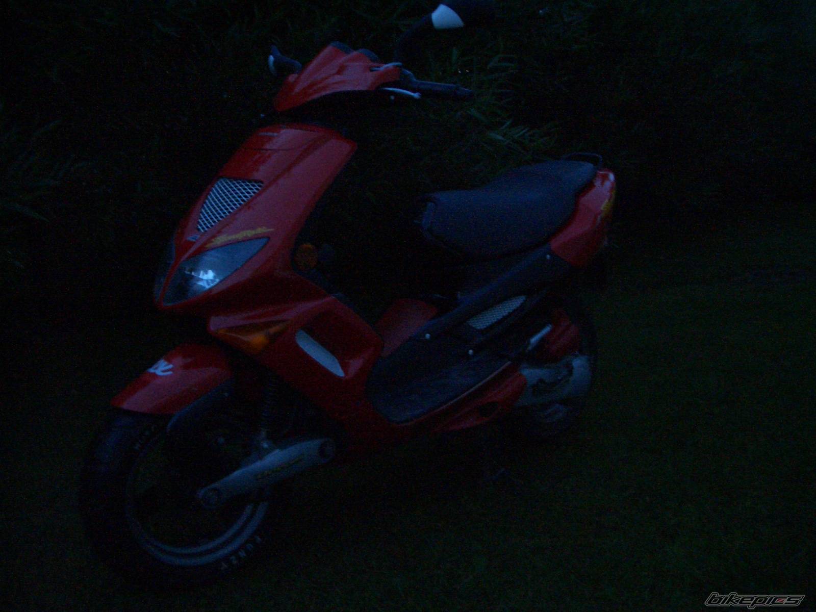 Photo 184247