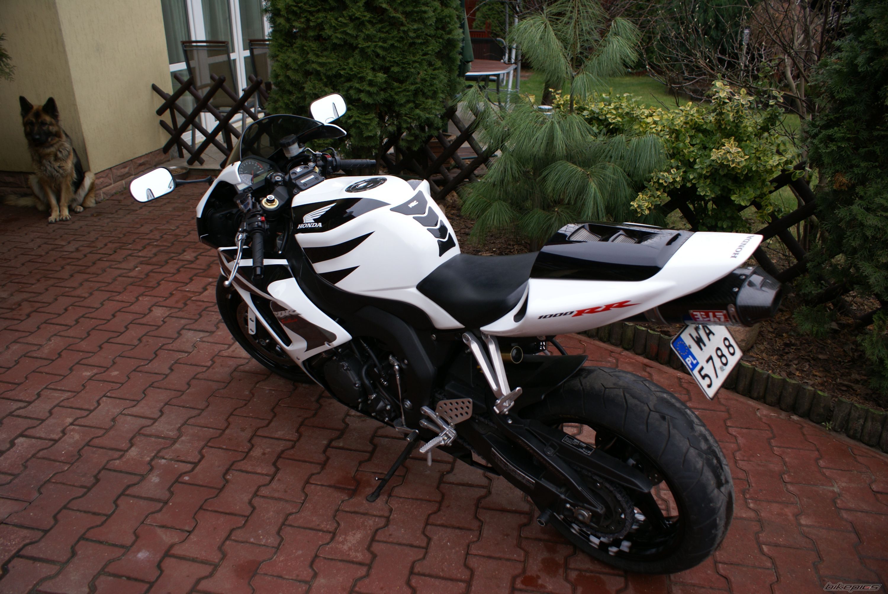 Photo 1842509
