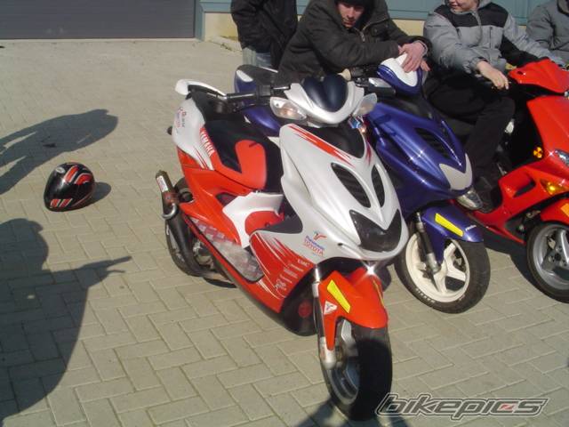 Photo 184270