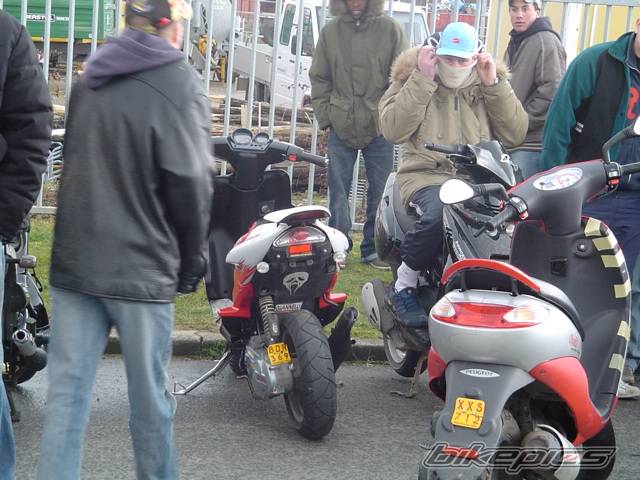 Photo 184271
