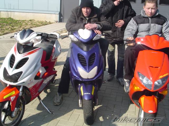 Photo 184272