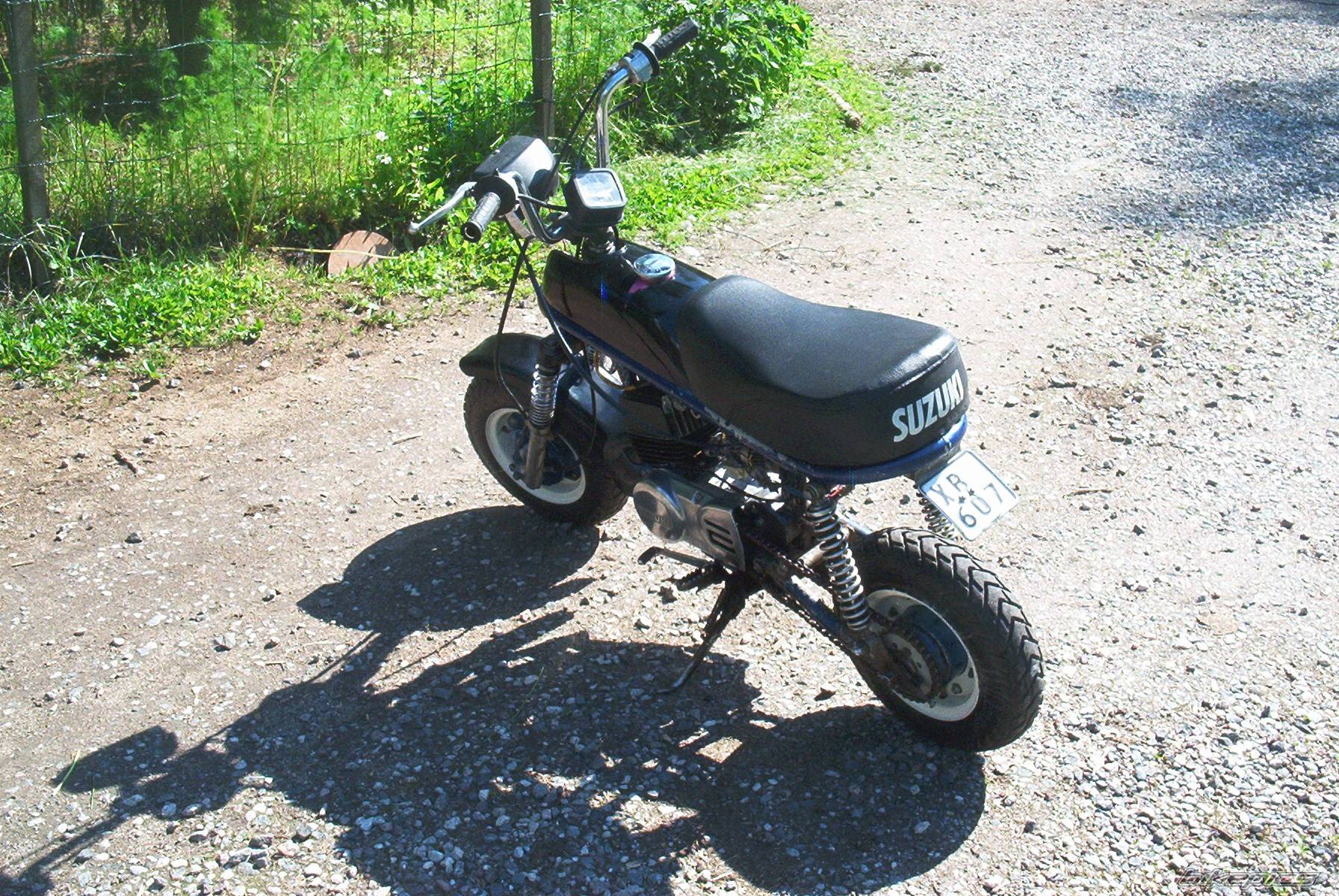 Photo 184281