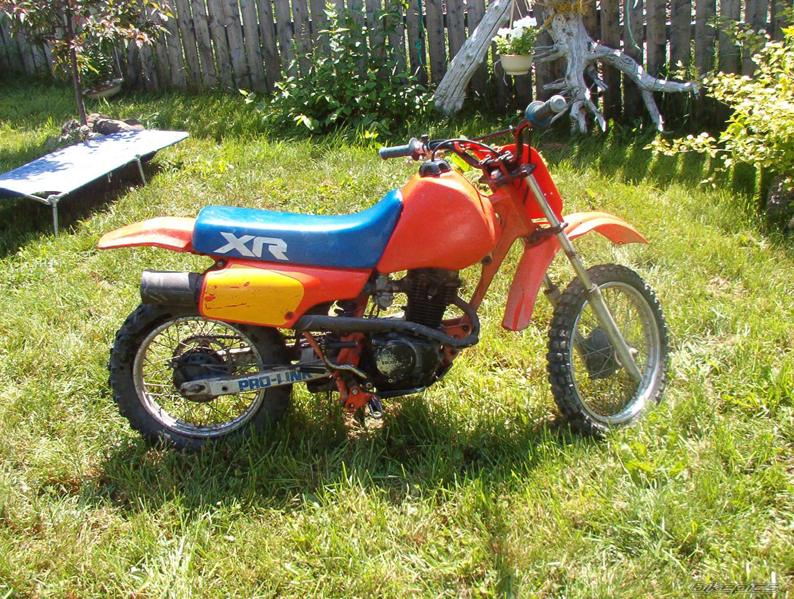 Photo 184291