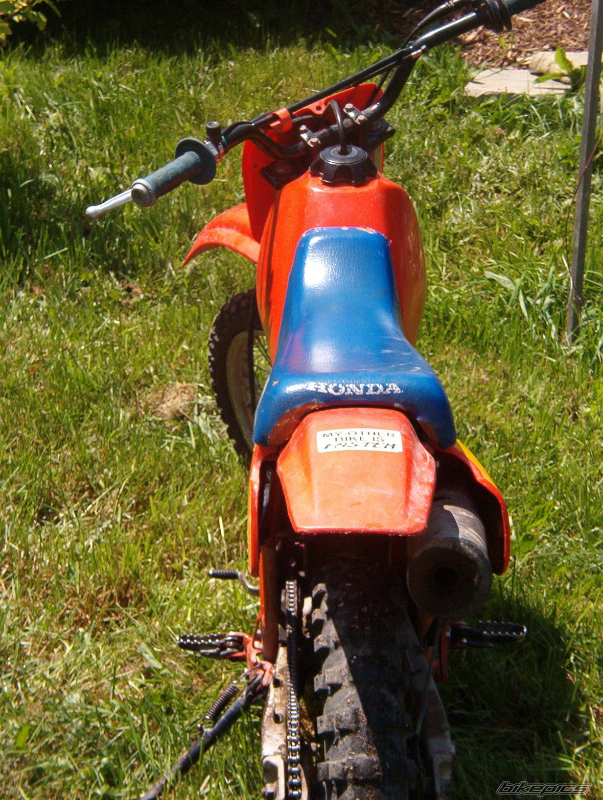 Photo 184293