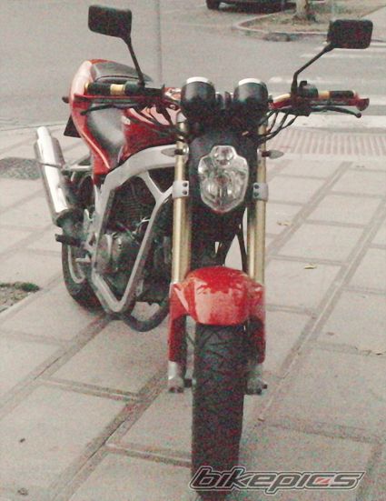 Photo 1842960