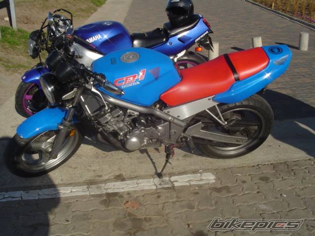 Photo 184298