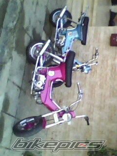 Photo 1843047