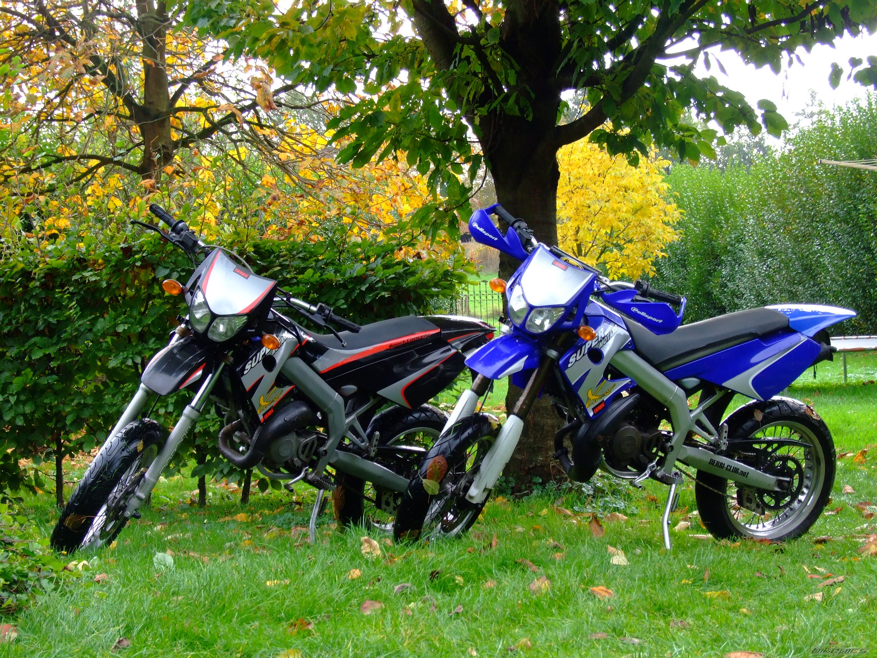 Photo 1843223
