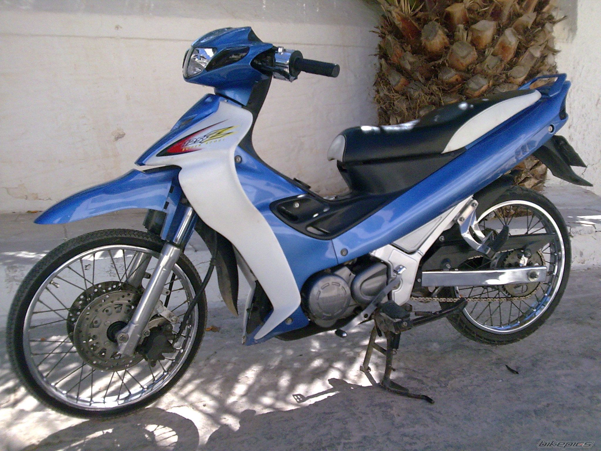 Photo 1843235