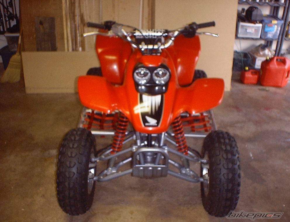 Photo 184329