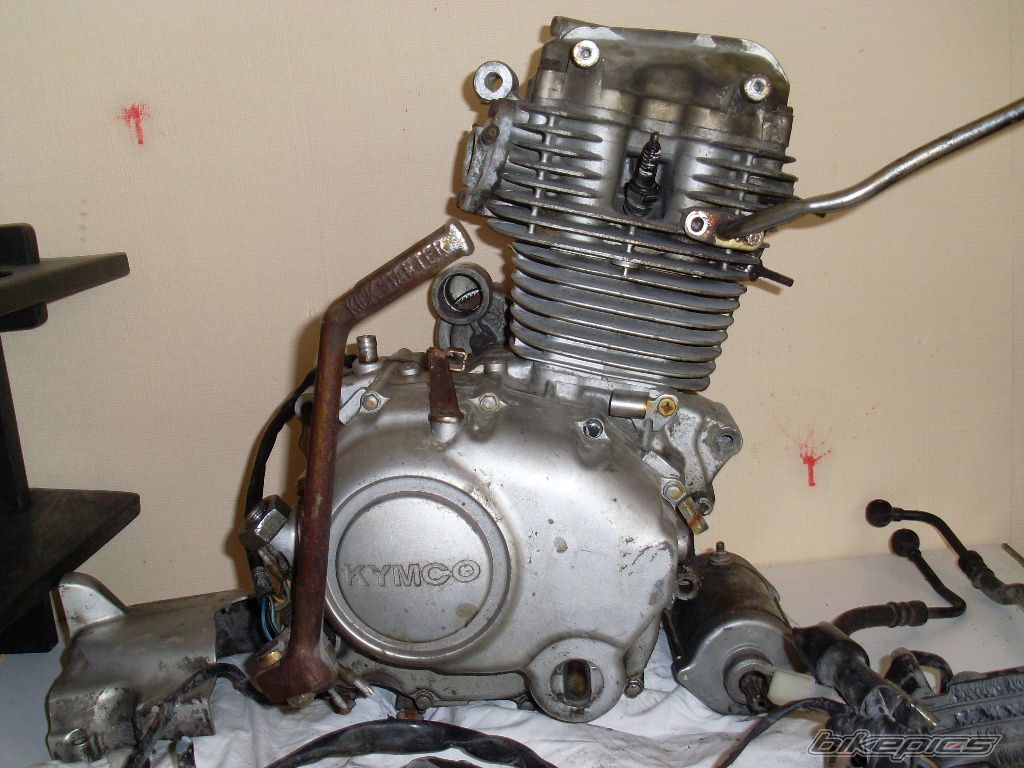 Bike Photo 1843304