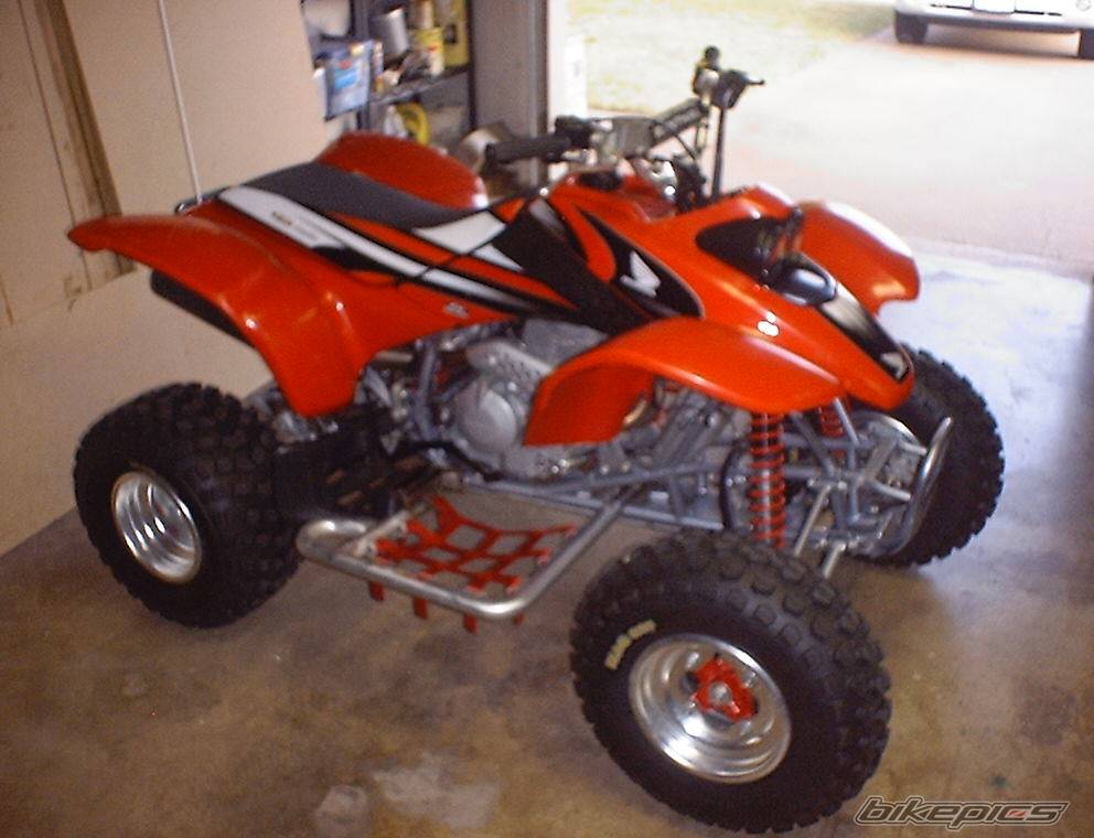 Photo 184331