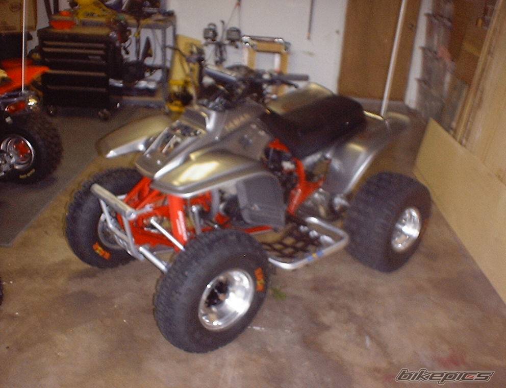 Photo 184333