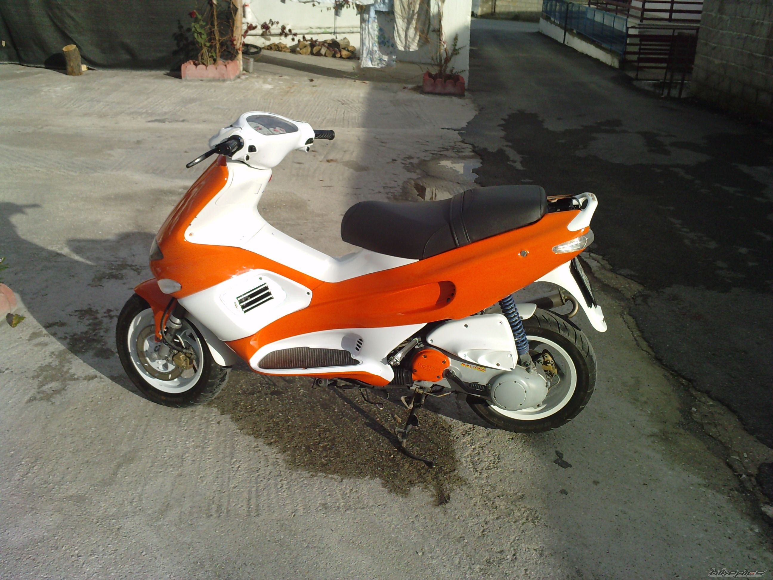 Photo 1843362
