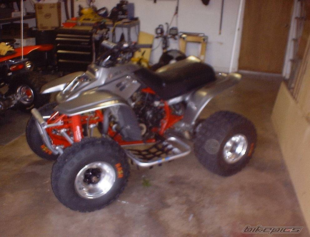 Photo 184337