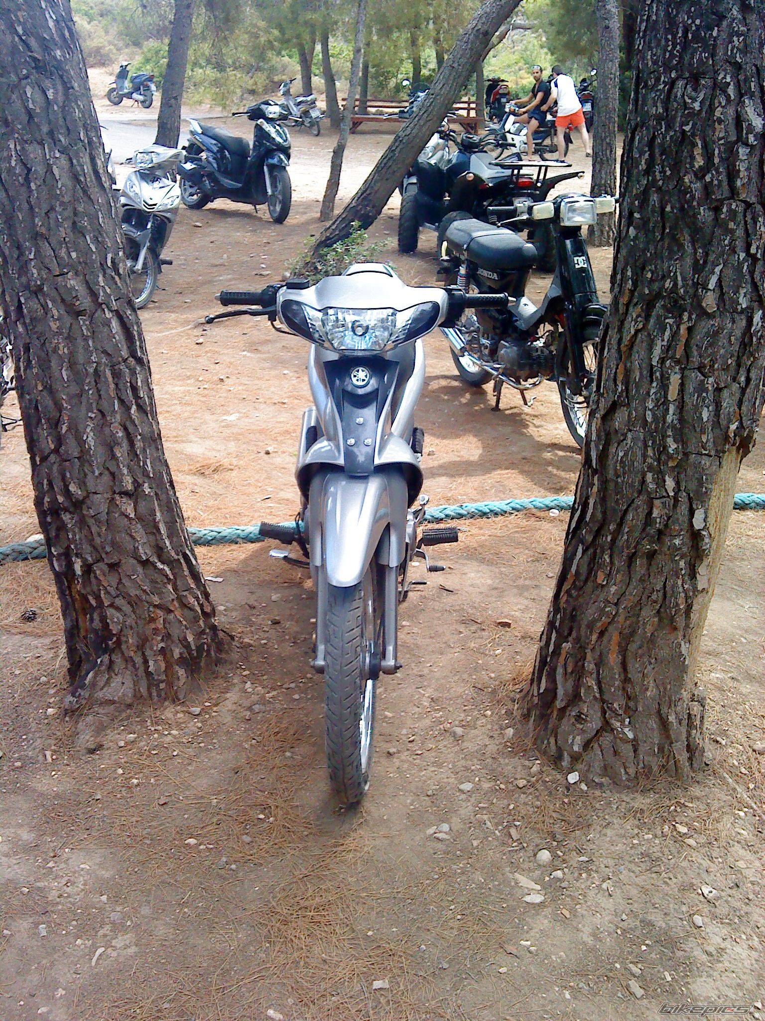 Bike Photo 1843383
