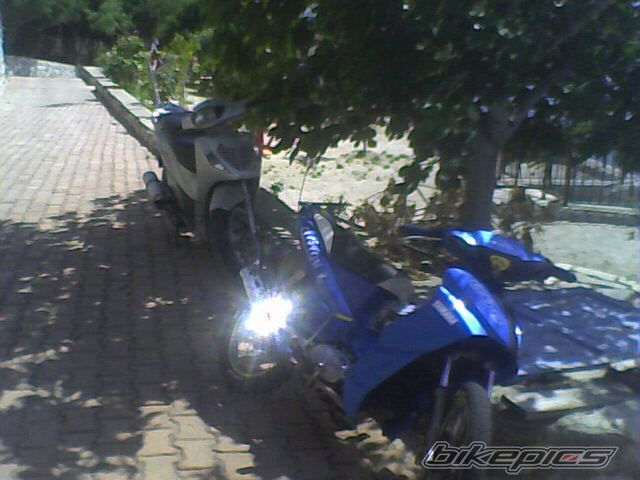 Photo 1843446