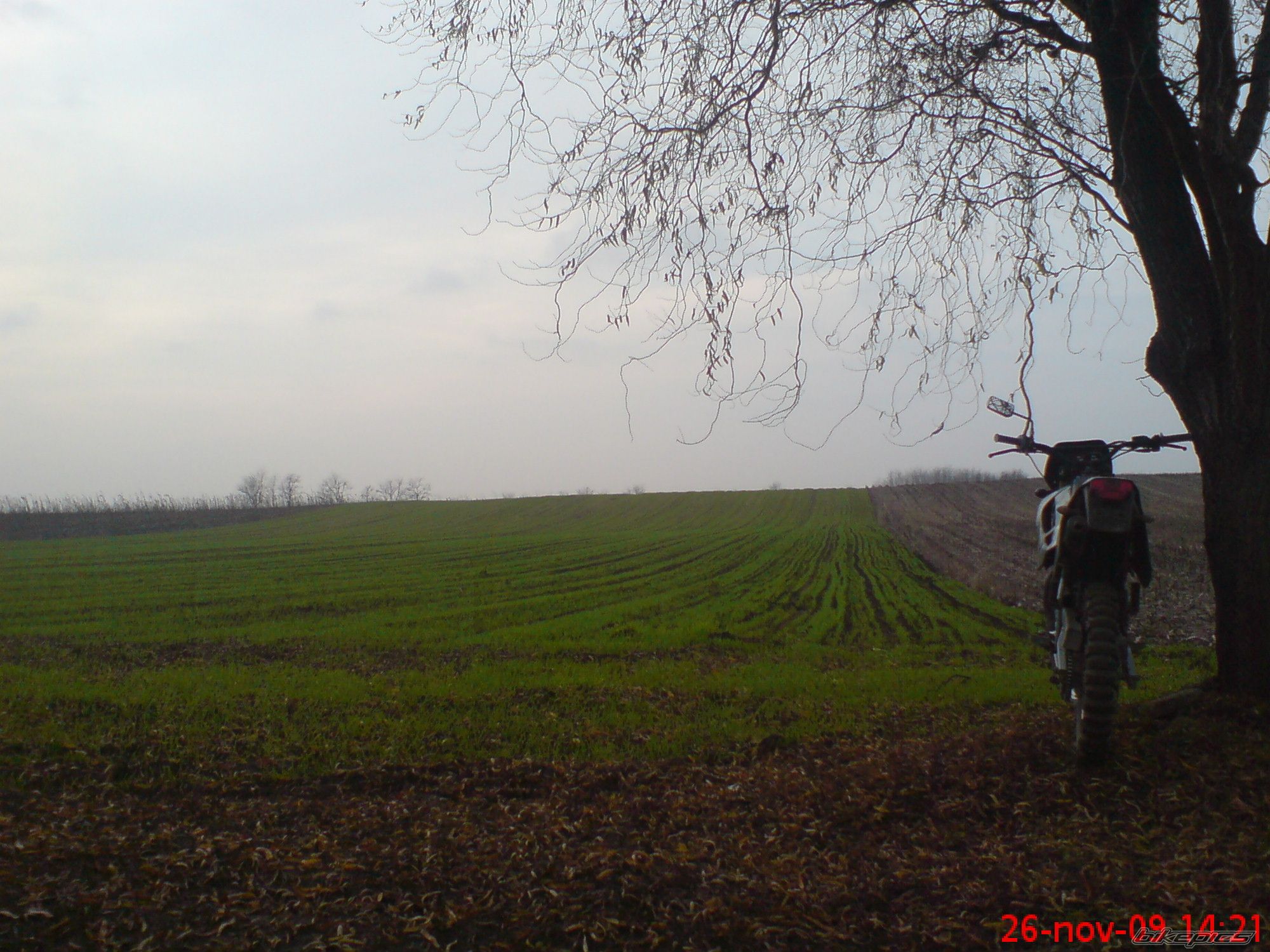 Photo 1843591