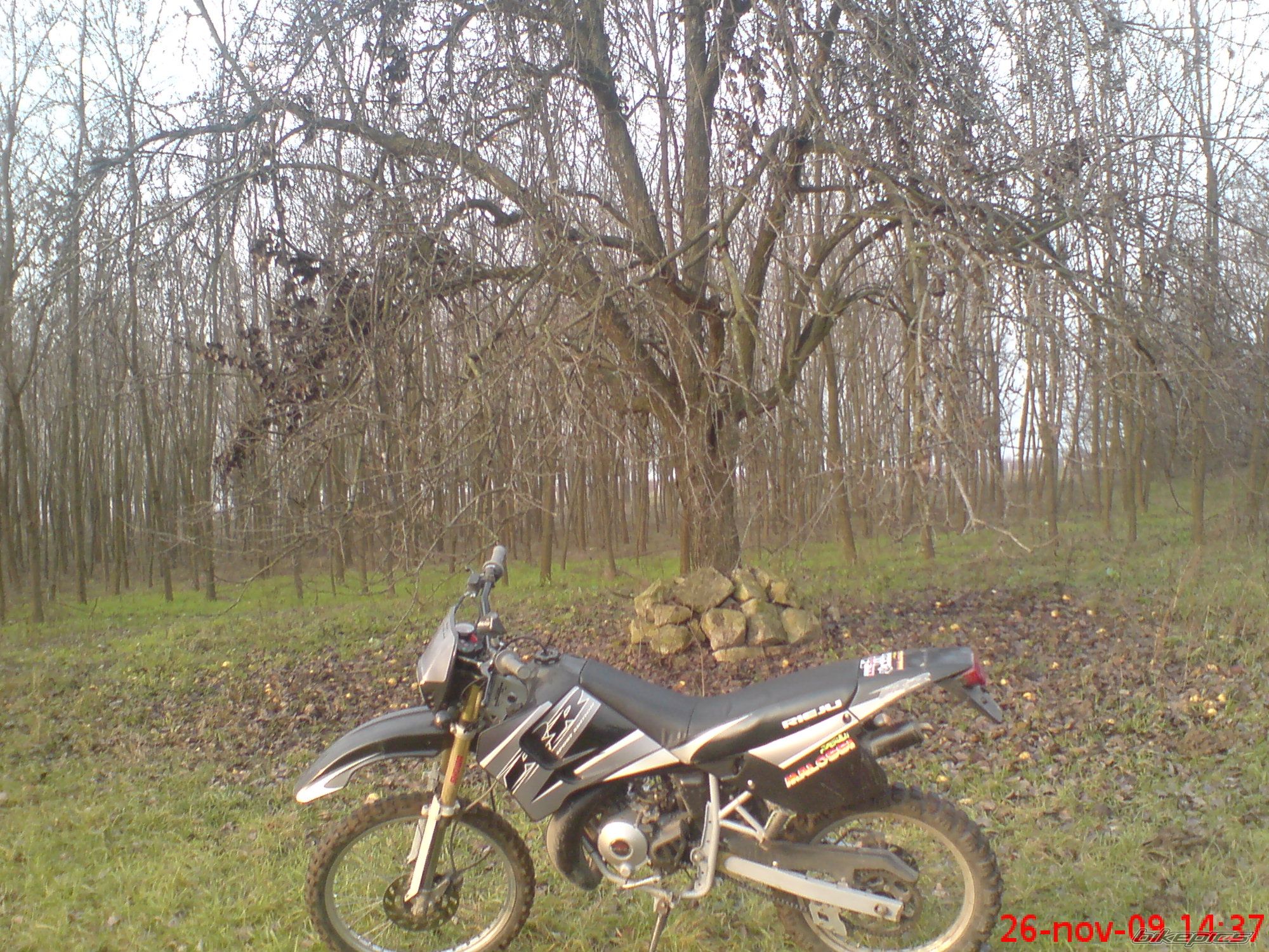 Photo 1843596