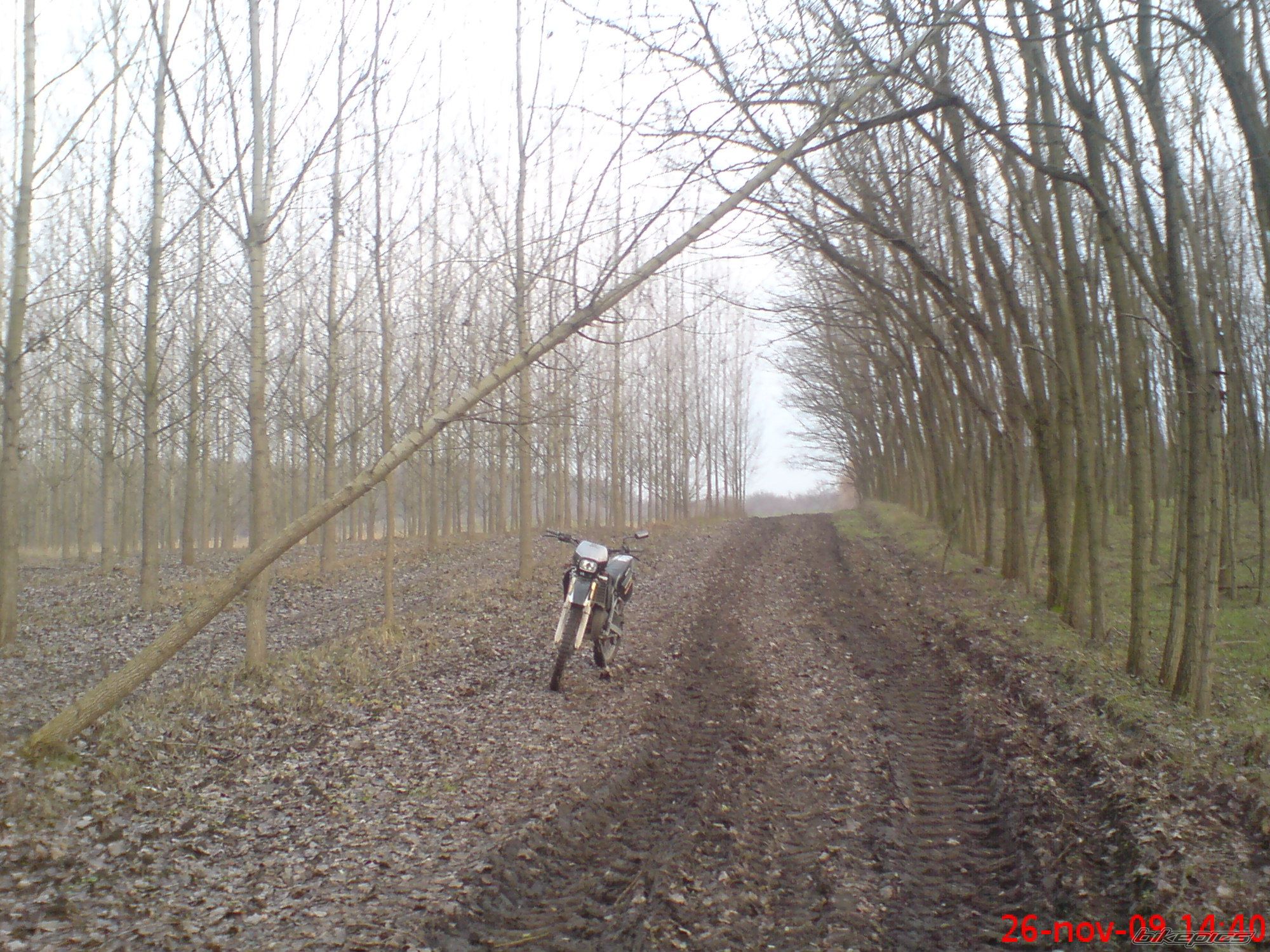 Photo 1843598