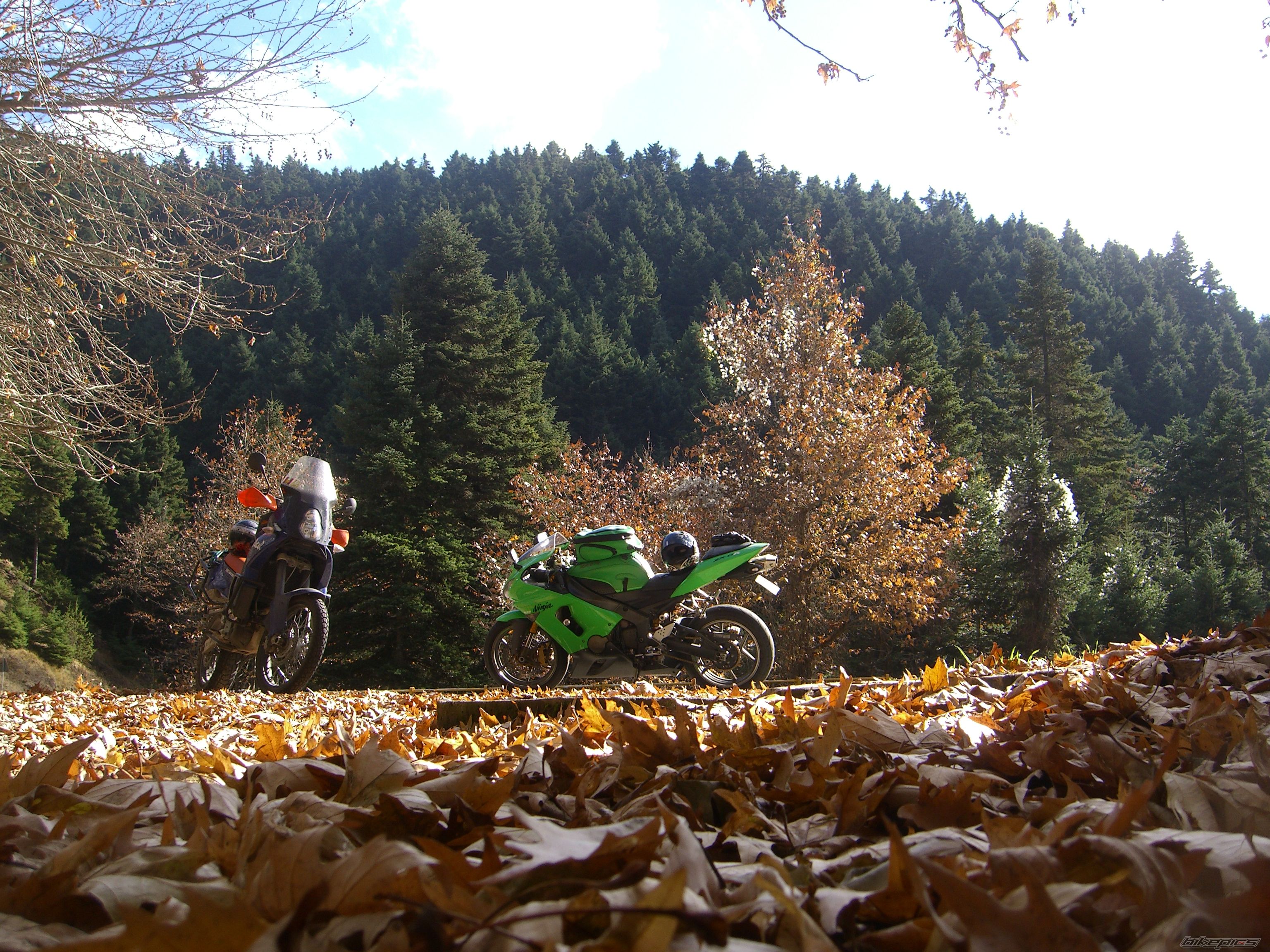 Bike Photo 1843631