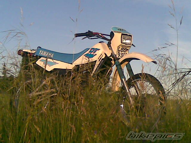 Photo 1843887
