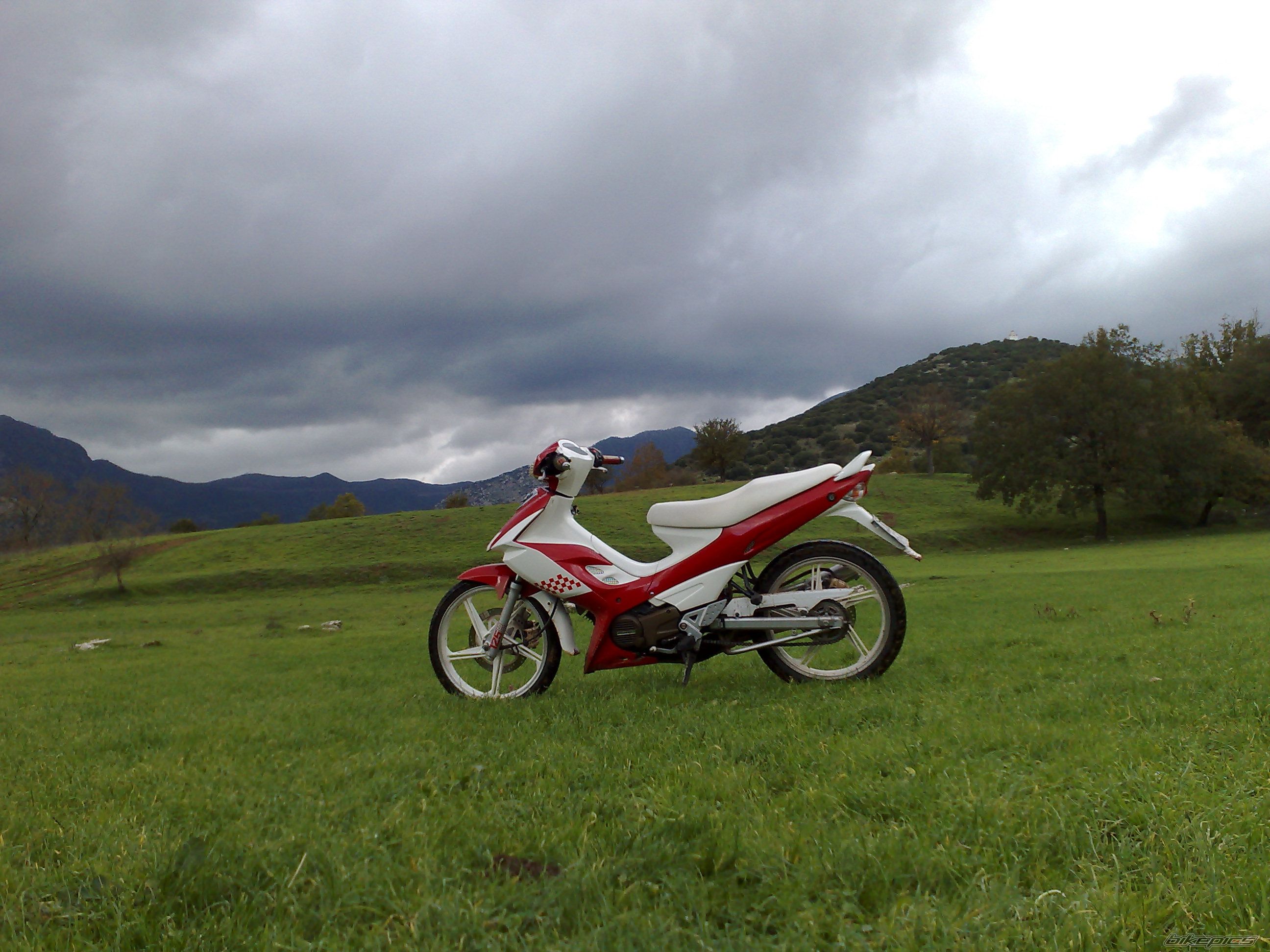Photo 1843978