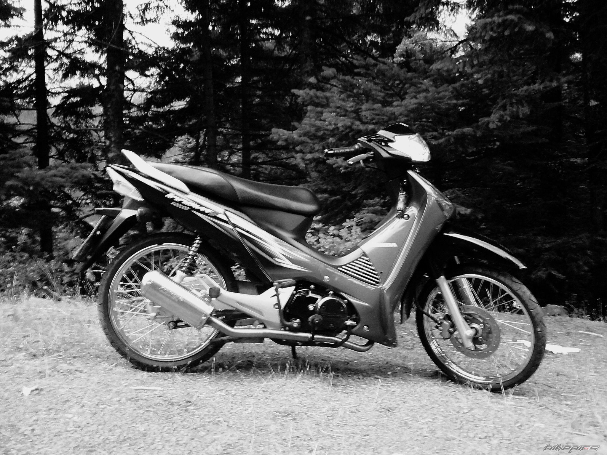 Bike Photo 1844048