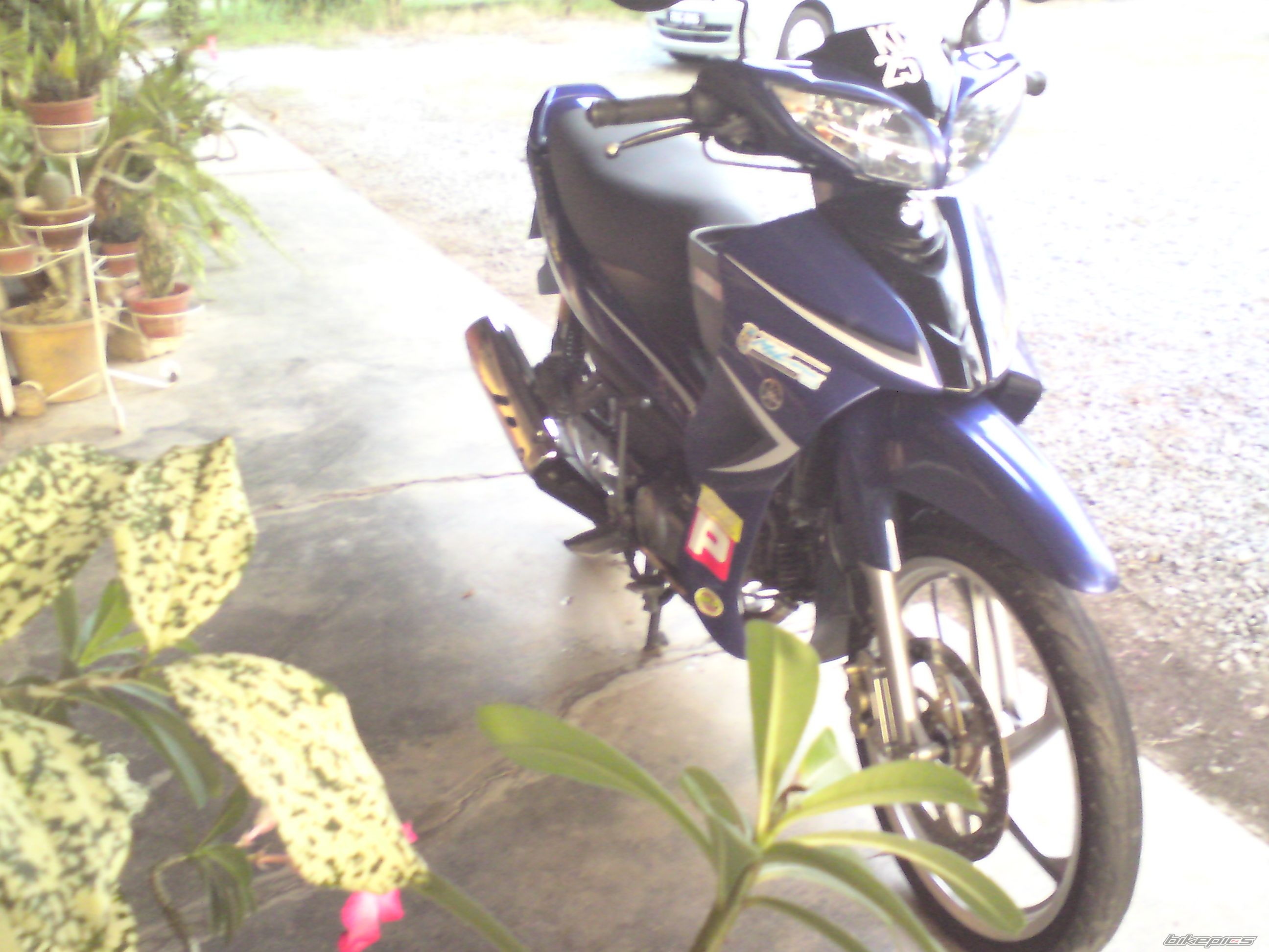 Photo 1844218
