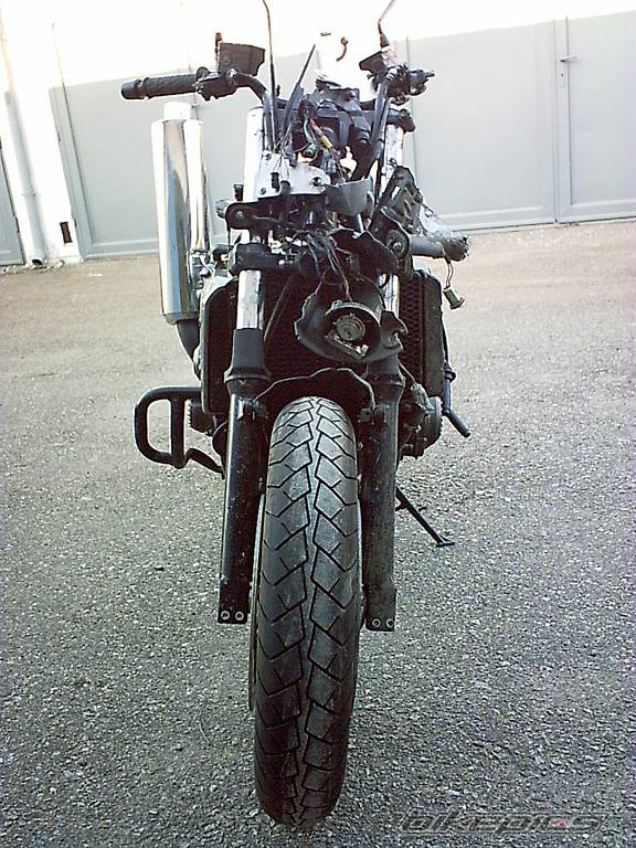 Photo 184424