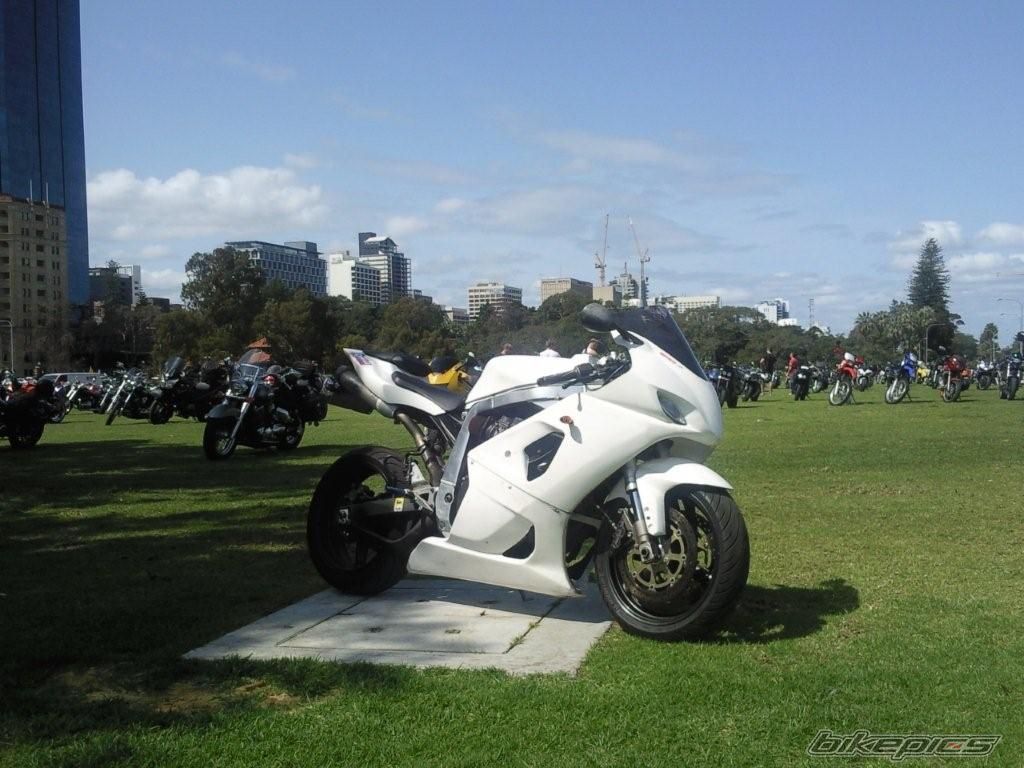 Photo 1844247