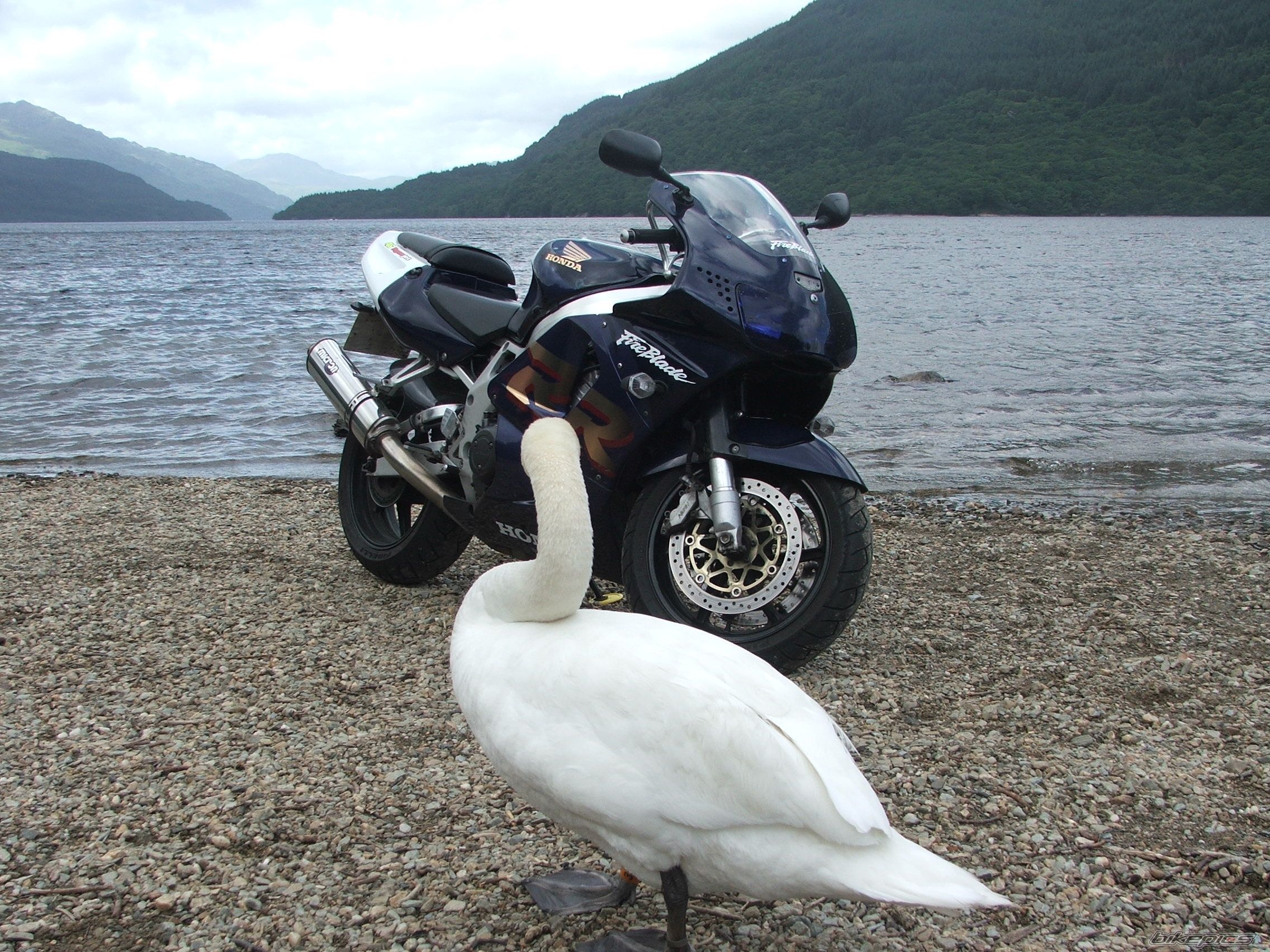 Bike Photo 1844315