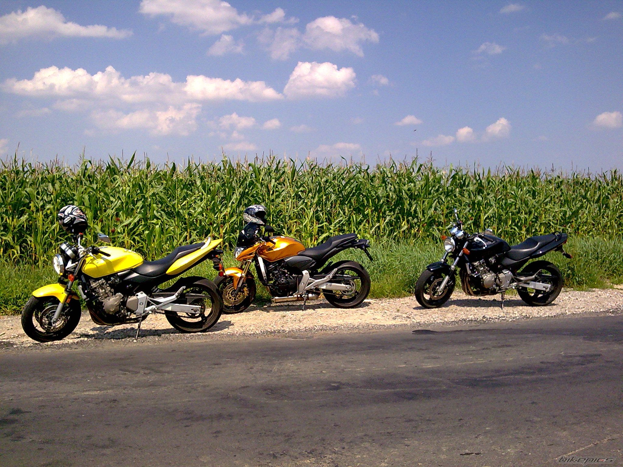Photo 1844328