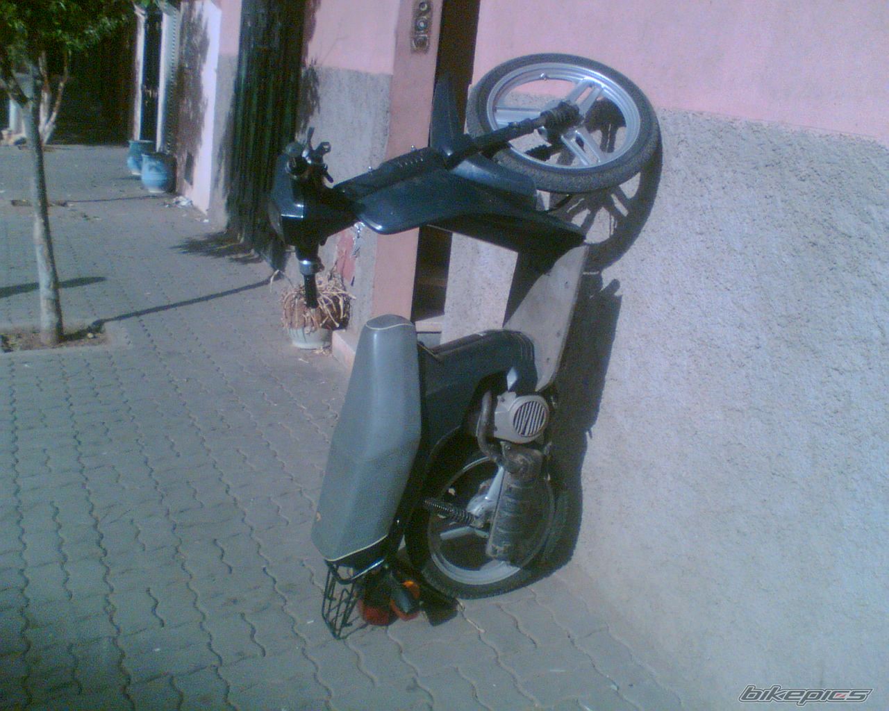 Photo 1844415