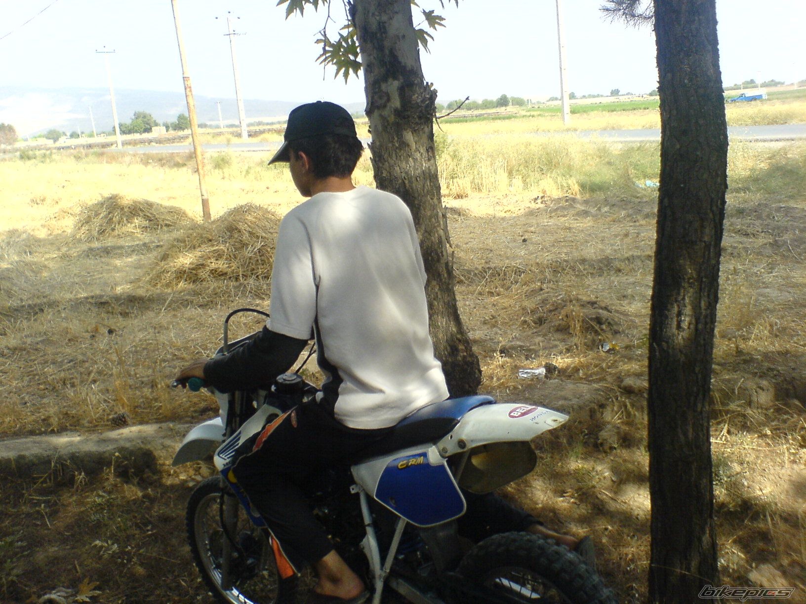 Photo 1844454