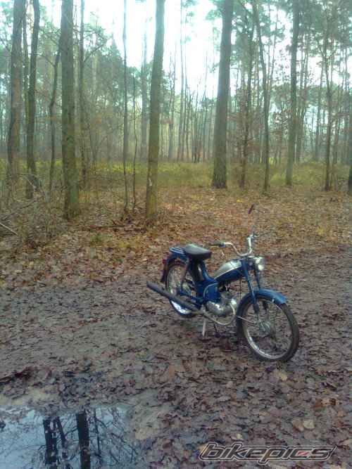 Photo 1844584