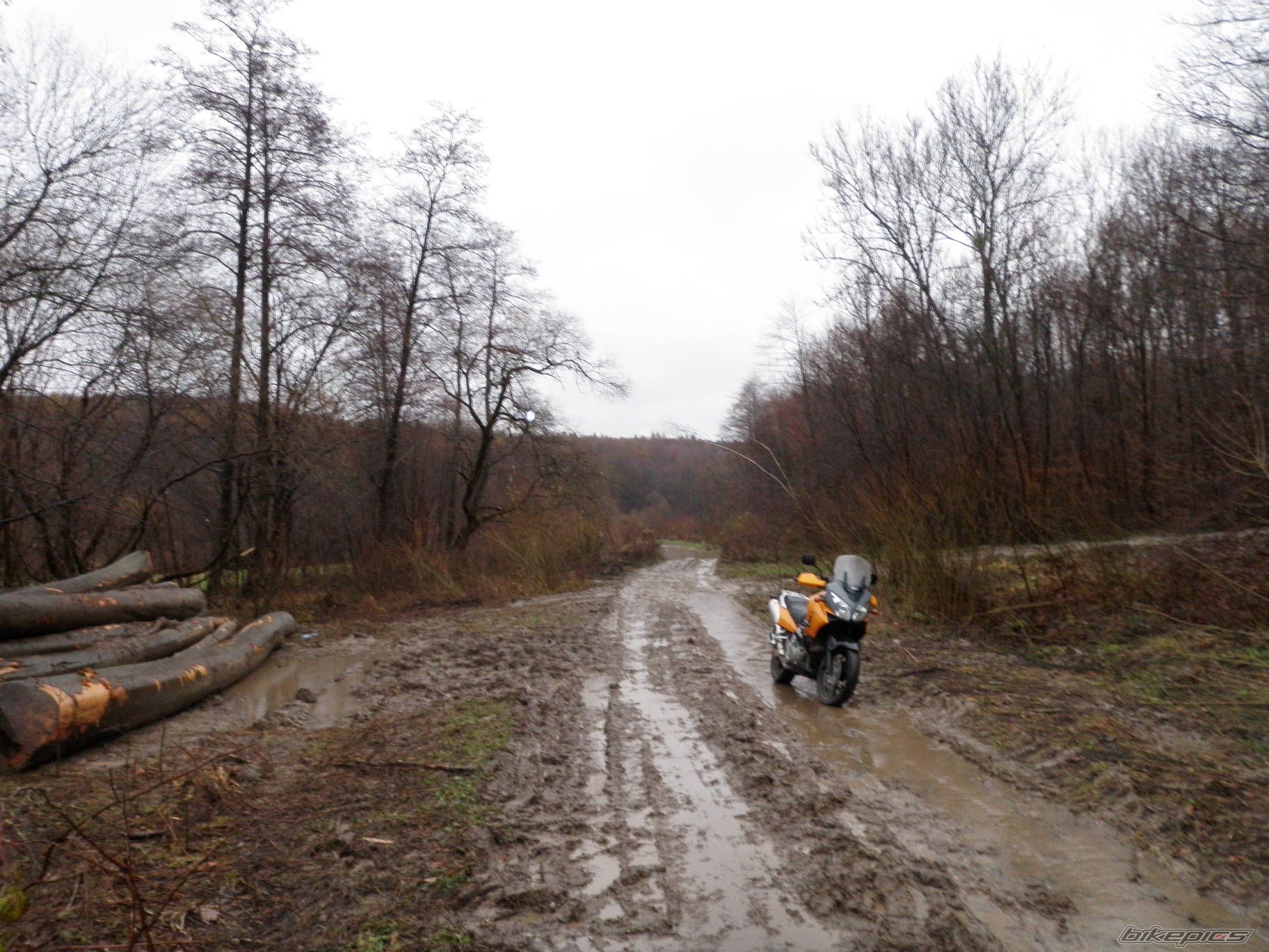 Photo 1844665