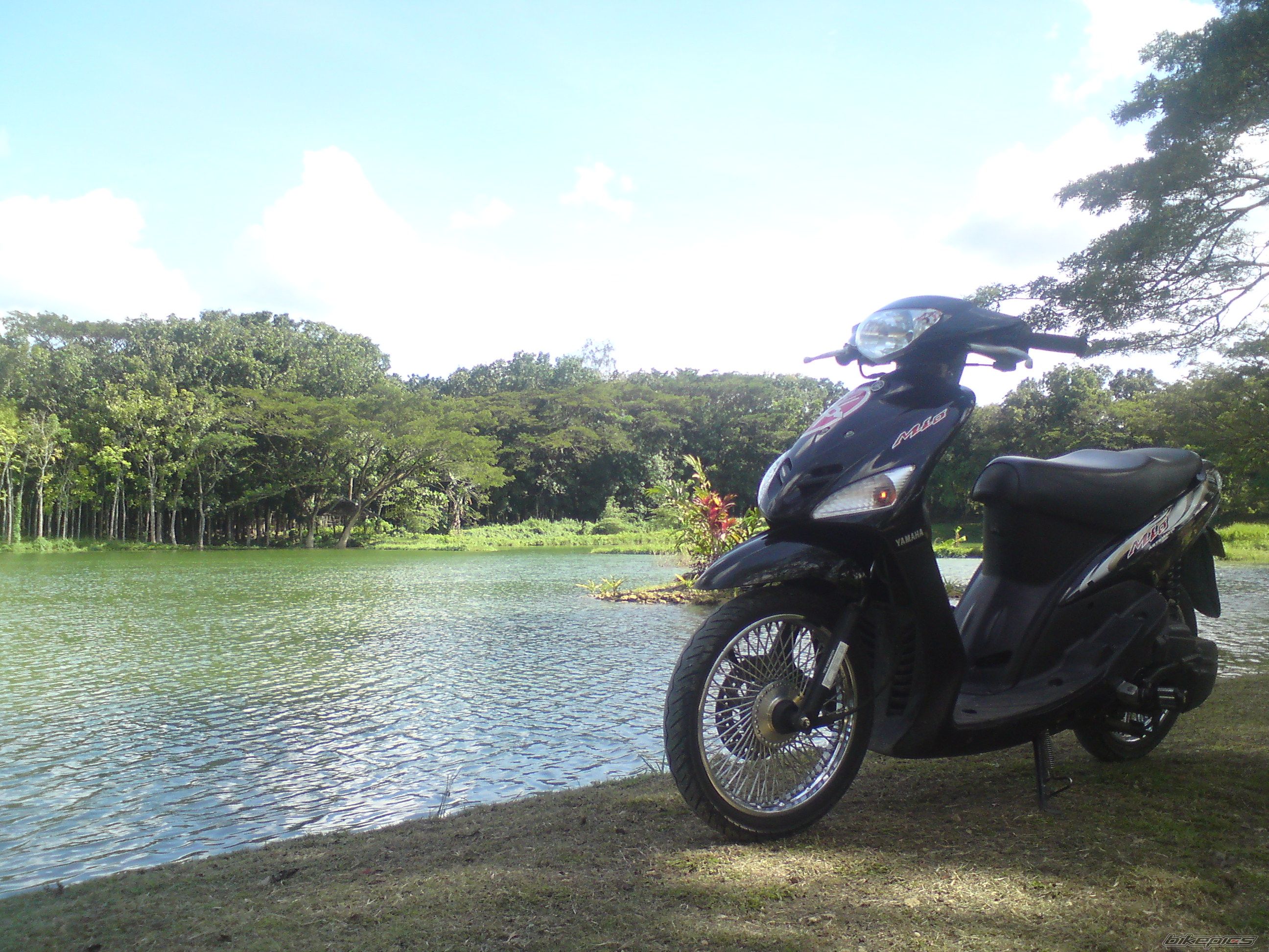 Photo 1845013