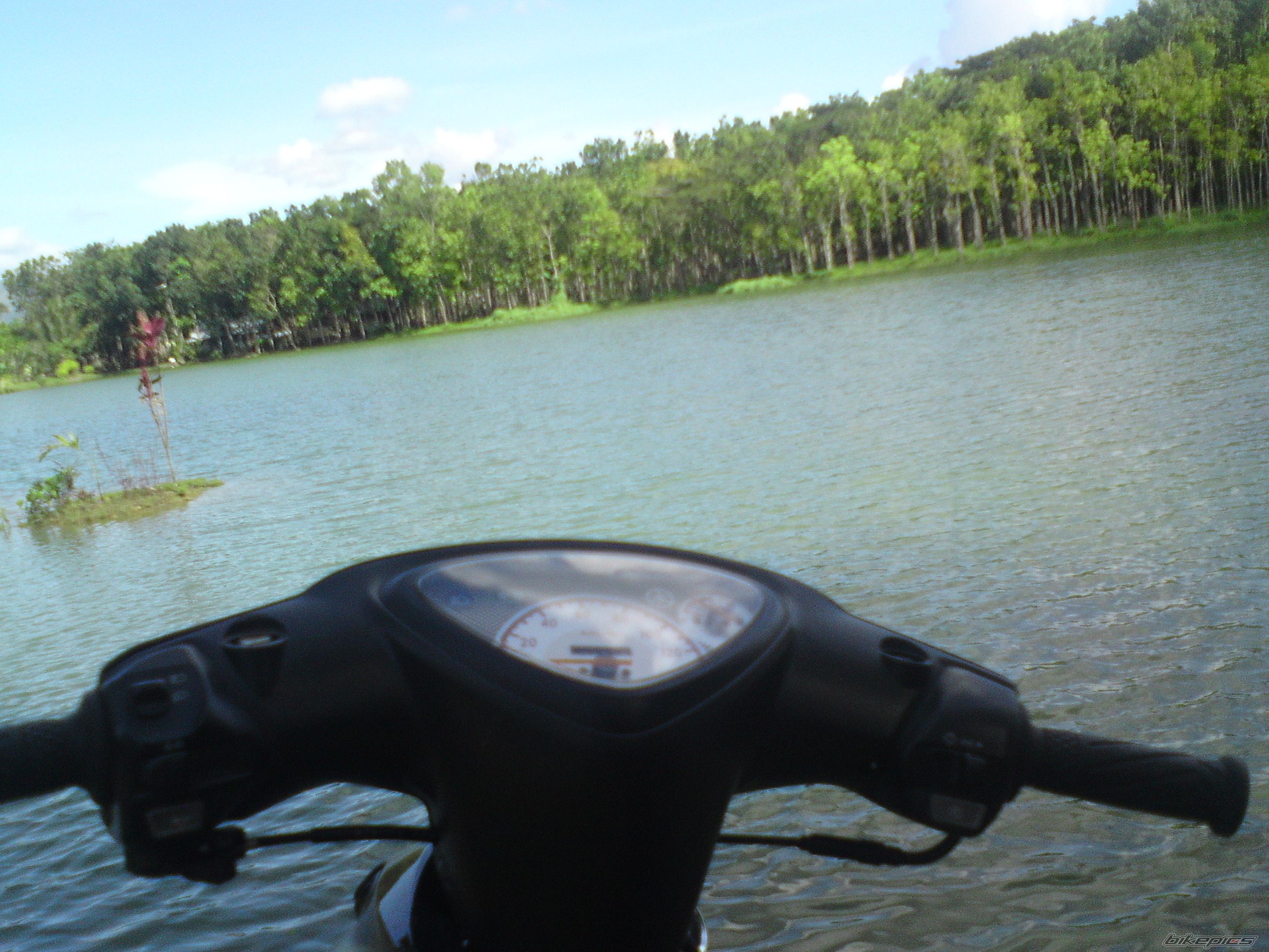 Photo 1845021