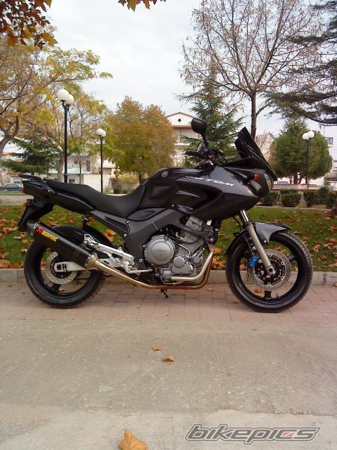 Photo 1845156