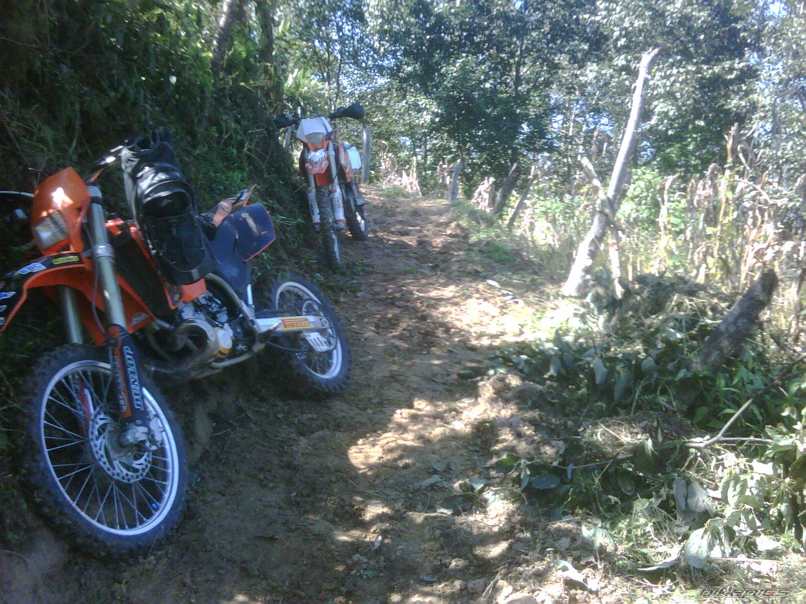 Photo 1845197