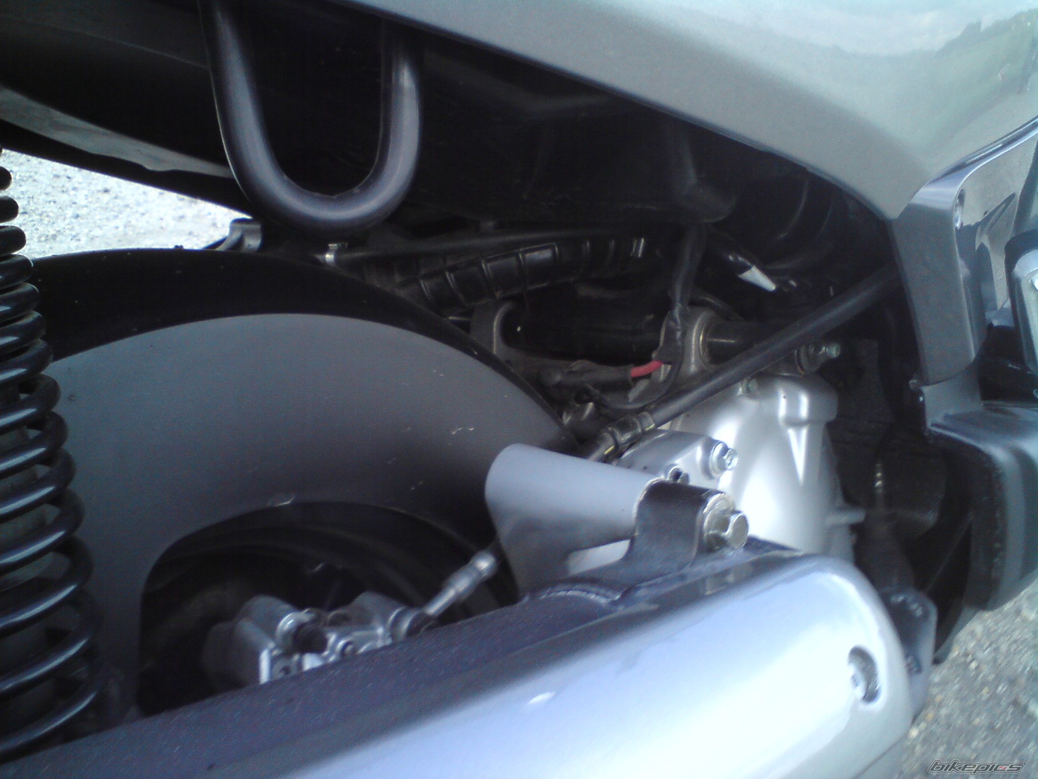 Photo 1845342