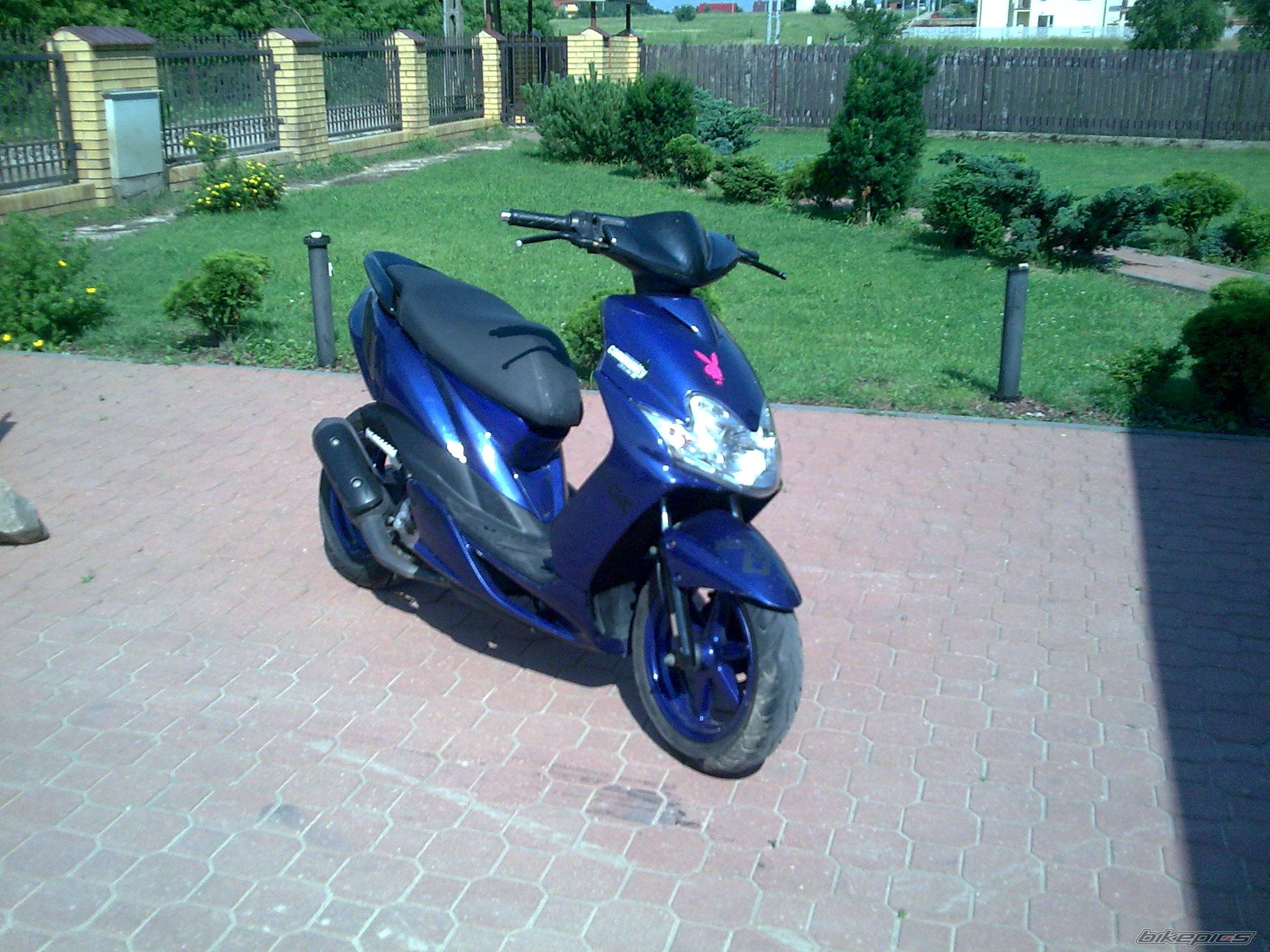 Photo 1845397