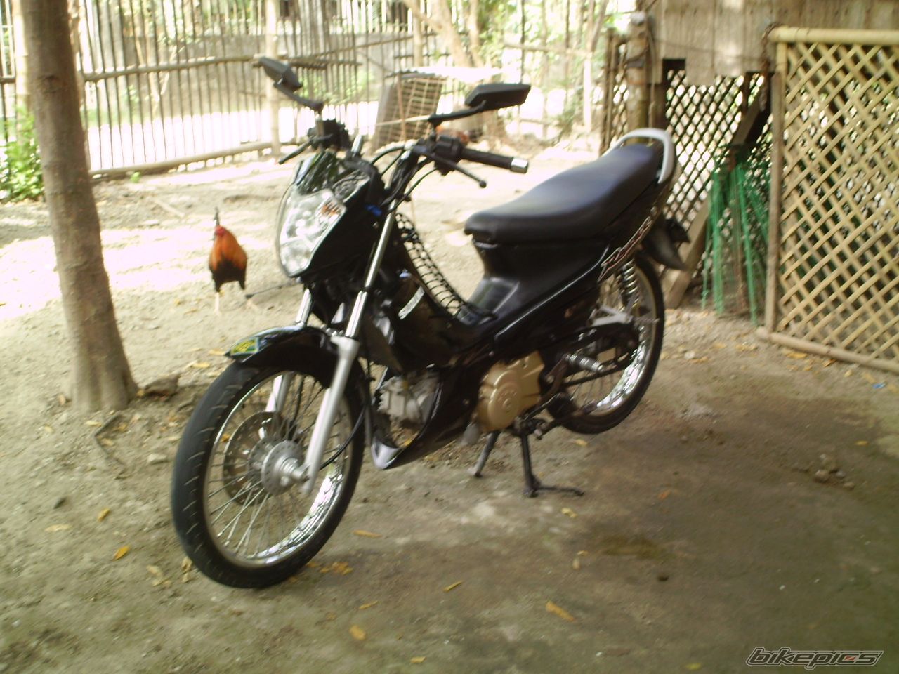 Photo 1845552